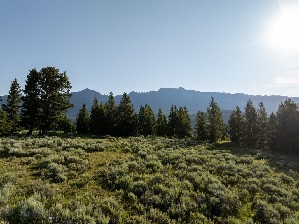 Moonlight Basin West 1 - Land