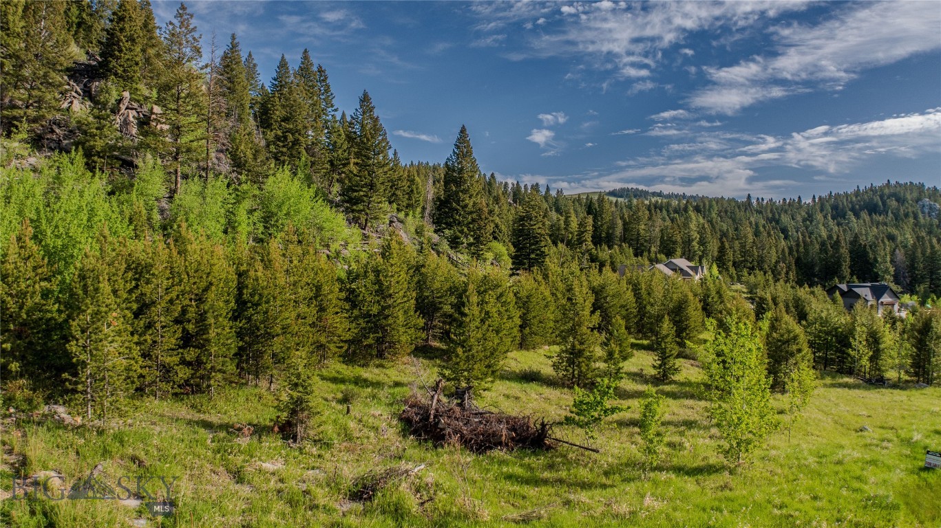 Minor Subdivision - Land