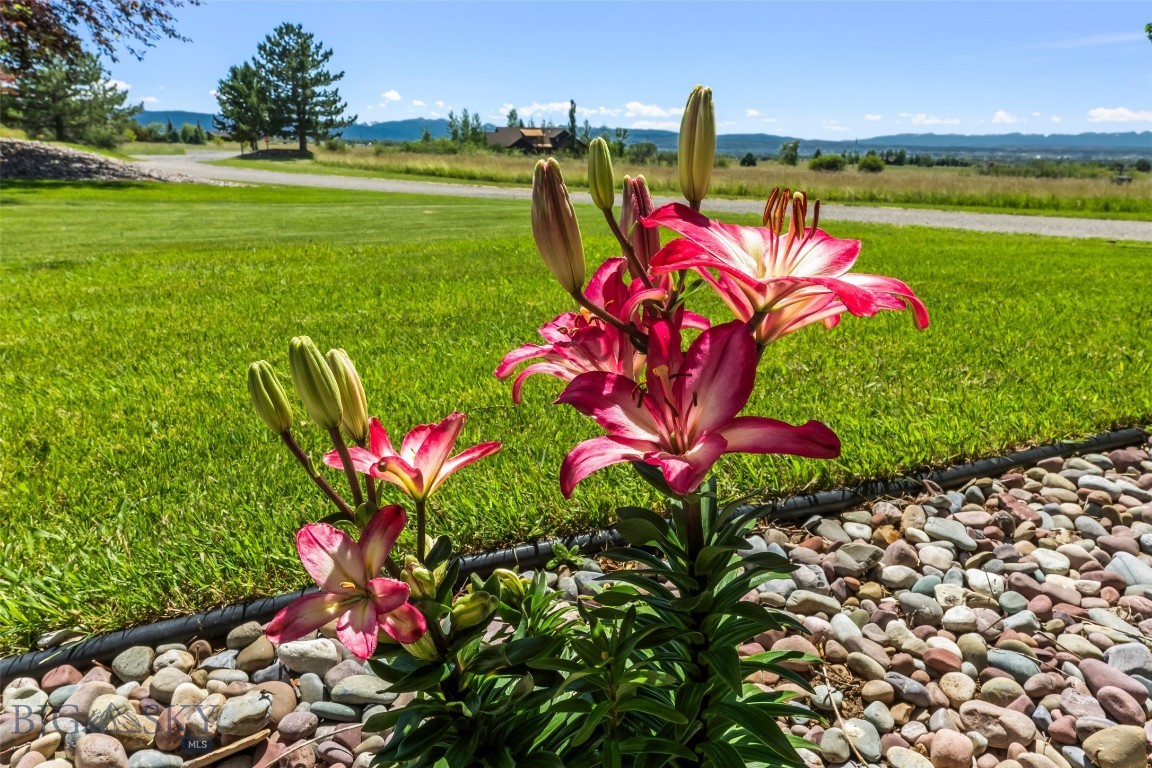 Saddle Peak Ranch - Residential