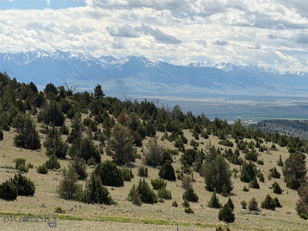 Excellent Ridge Top VIEWS of the Madison Mountain Range and the Tobacco Root Mountains from Ennis Lake continuing towards the Yellowstone Caldera.  This 6.3 acre parcel is located high in the Gravelly Mountains bordering a large ranch on it's northern boundary.  MILES of views, access to trout stocked Haypress Lakes, and trails for your side by side, ATV, horses, mountain bikes, or your Chevrolegs!   Buy Land - they aren't making any more of it and this parcel is priced to sell as it is one of the lowest priced properties in the area.  Interesting and varied topography, views in every direction, and covenants (600 SF minimum for your new cabin as per covenants) to help protect the value of your land.   Power is in the area but not yet to the property making this a great place to start with an off grid cabin.  Fiber Optics is to the lot!  Recreational opportunities create a new lifestyle that is waiting for you!!