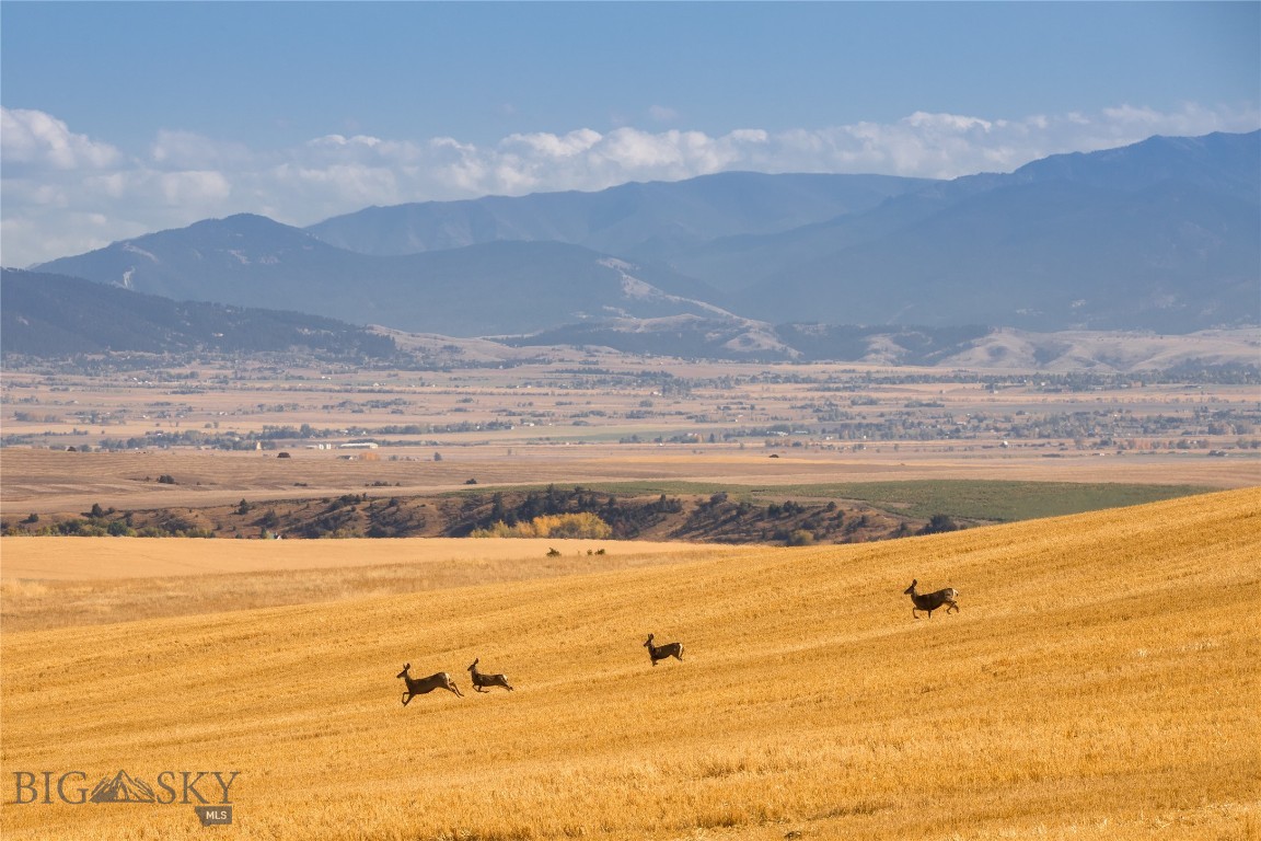 None - Land