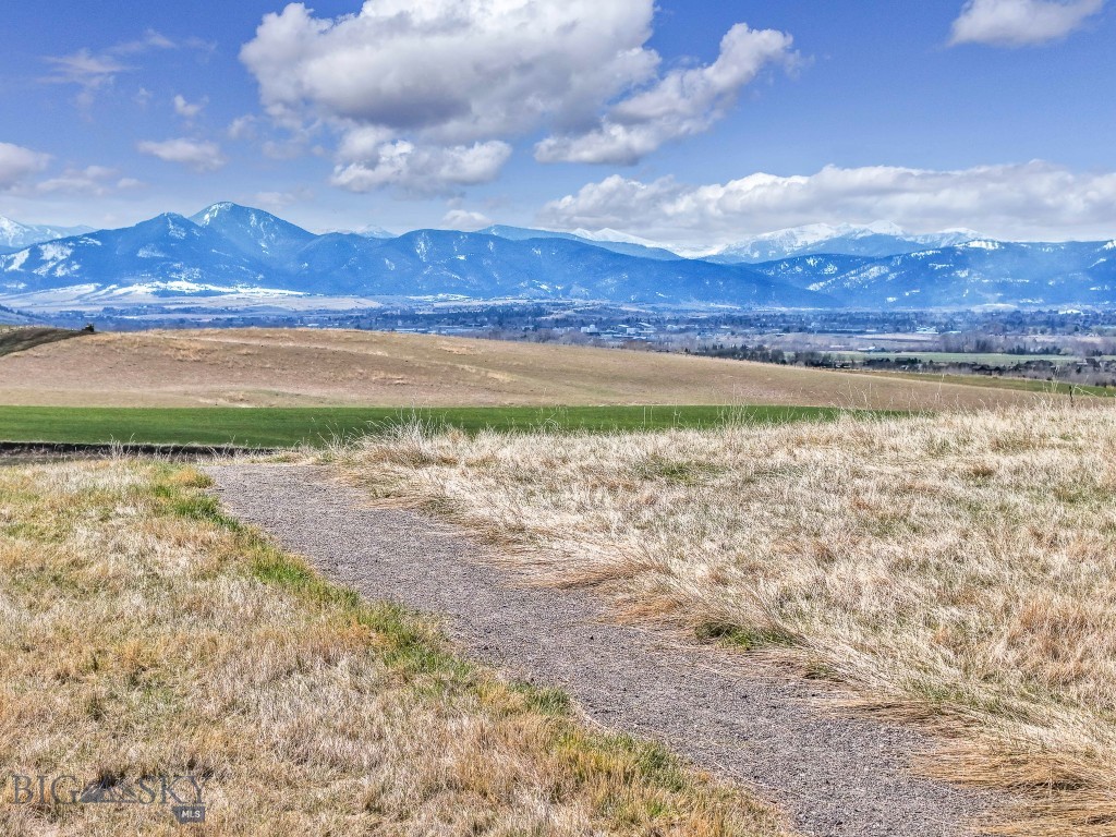 Springhill Reserve - Land