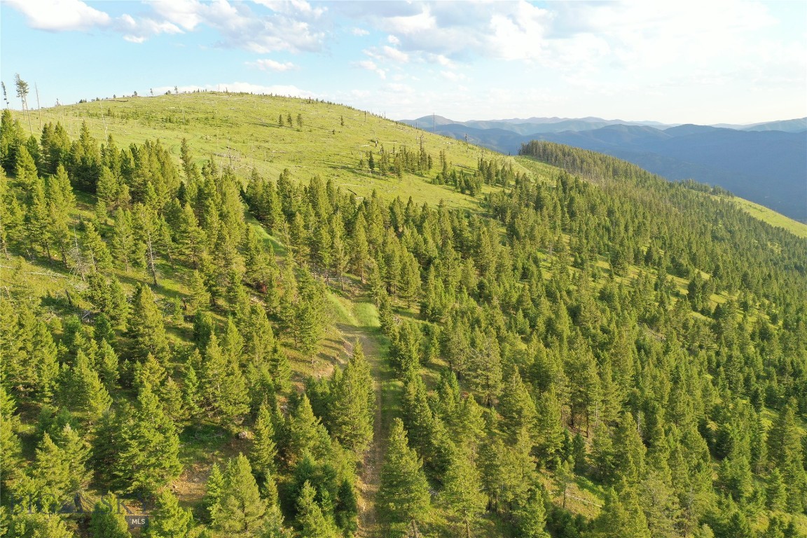 This stunning 158.84 +/- acre Montana land offers scenic views and prime recreational and hunting opportunities and even shares a border with the Rocky Mountain Elk Foundation property. Located in Granite County near Drummond, MT, this Montana acreage features rolling hills, sweeping mountain and valley views, timbered draws, and abundant wildlife, making it an ideal hunting property and year-round recreational retreat. Whether you're searching for Montana land for sale for a weekend getaway, seasonal cabin site, off-grid living, or a long-term land investment, this property provides the space, privacy, and natural beauty you’re after.

Perfect for those seeking off-grid Montana land, it offers a peaceful escape with seasonal access, big-game hunting, and a true sense of seclusion away from crowds and traffic. This is a haven for outdoor enthusiasts, with room for camping, ATV and UTV riding, hiking, and countless other recreational activities right out your front door. With no covenants of record reported by the seller and multiple potential building sites, you can create your own hunting camp, recreational cabin, or part time off-grid homestead. If you’ve been looking for Western Montana hunting land, recreational property, or larger acreage near public lands, this tract deserves a serious look. Owner financing available.