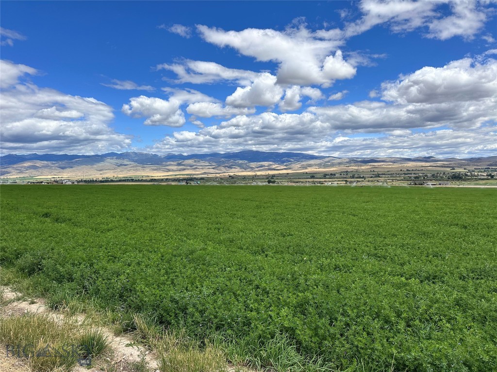 Looking for a property to be able to grow your own hay? Take a look at this 20+ acre piece with irrigation rights from Madison Irrigation Company! Property is planted with a newer stand of alfalfa/grass mix. Canal on the west boundary, county road and large piece of state land on the south. Just a short distance from the great little town of Alder, Montana with 360° views of the mountains. Lots of recreational opportunities in the area with Ruby reservoir just a short drive up the road. Don’t miss this opportunity as in Montana you don’t just purchase property you buy a lifestyle!
(Water rights are not on the canal in the photos but the canal does run along the property boundary)