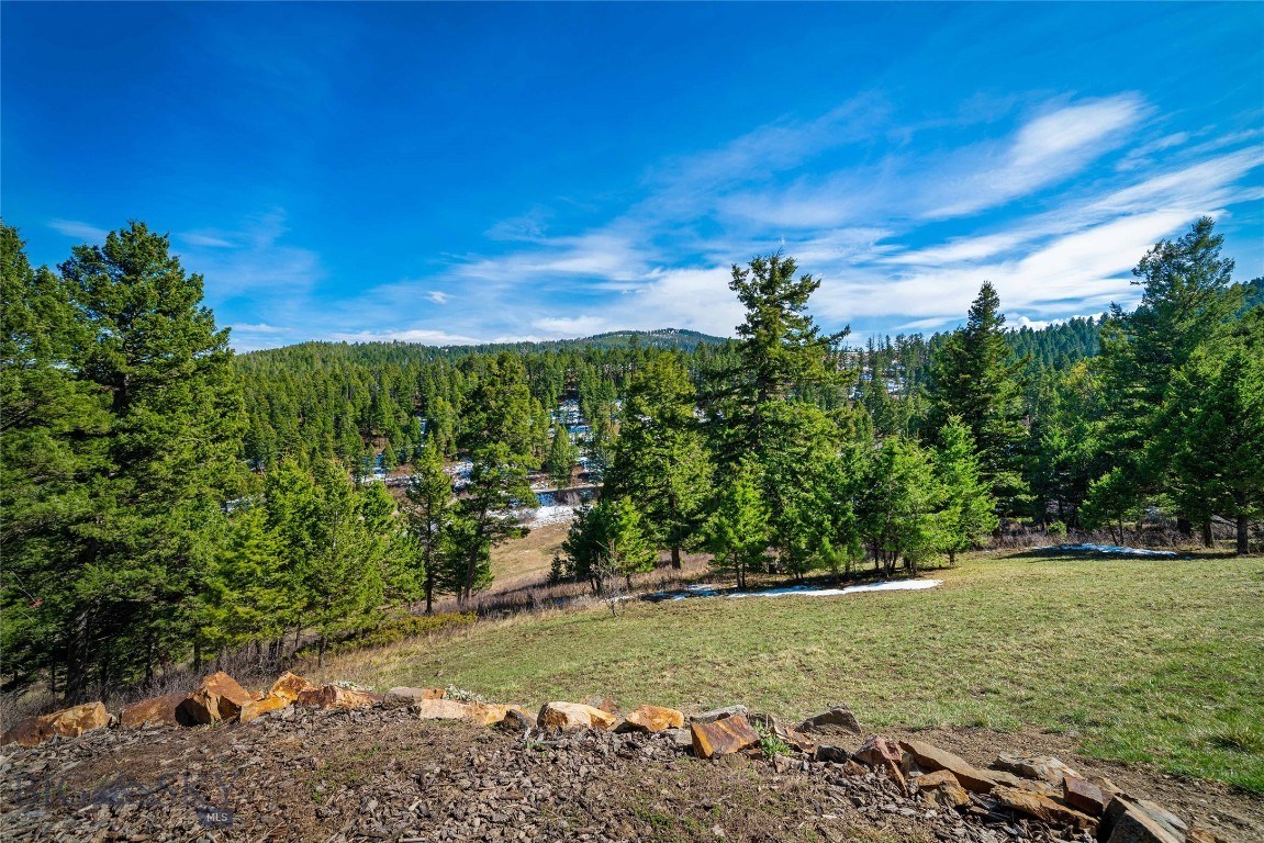 Timberline Creek - Residential