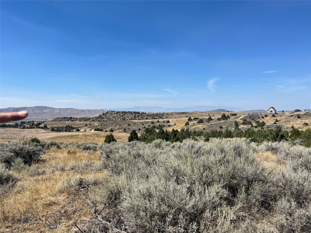 Ponderosa Pines - Land