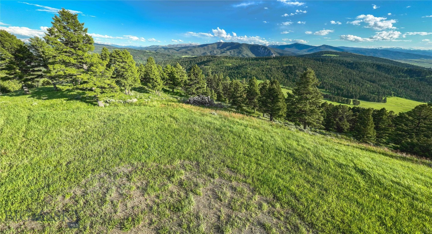 North Pass Ranches - Land