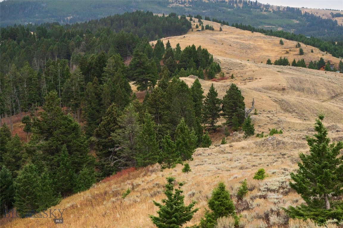 Perched high on the mountain with end-of-the-road privacy, this 20-acre property offers some of the most breathtaking views in Montana. From the peak, take in sweeping vistas of the Crazy Mountains, Absaroka Range, Bridger Range, and Gallatin Range—a stunning panorama in every direction. This property is ready to build, with power and septic already installed. A mix of open meadow and timbered terrain provides both beauty and versatility, while seasonal spring creeks add a touch of charm and natural soundscape. Whether you’re dreaming of a private mountain home, or a recreational getaway, this rare offering combines convenience, seclusion, and unmatched scenery. The property is located just 2 miles off the paved Us Hwy 10 (Frontage RD) between Livingston and Bozeman MT. This location puts both towns within 20+/- minutes. The private road climbs to this end of the road setting. The main building location offers stunning views of the Crazy mountains and views of the Absorkas. The property has several roads through it and accesses the mid mountain bench and top of the mountain bench for your enjoyment. You will find every type of four legged friend in this alpine local.