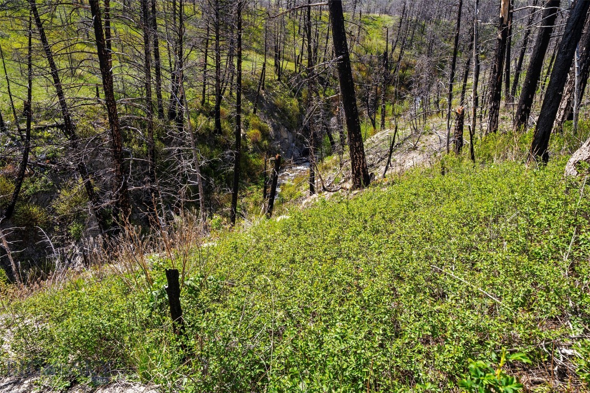 Other - Land