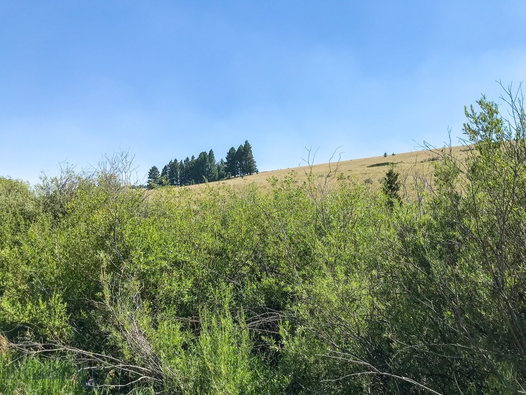 Other - Land