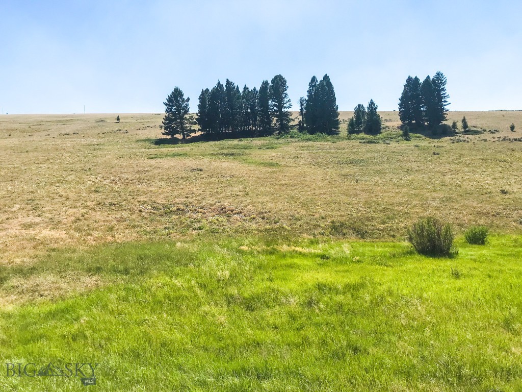 Other - Land