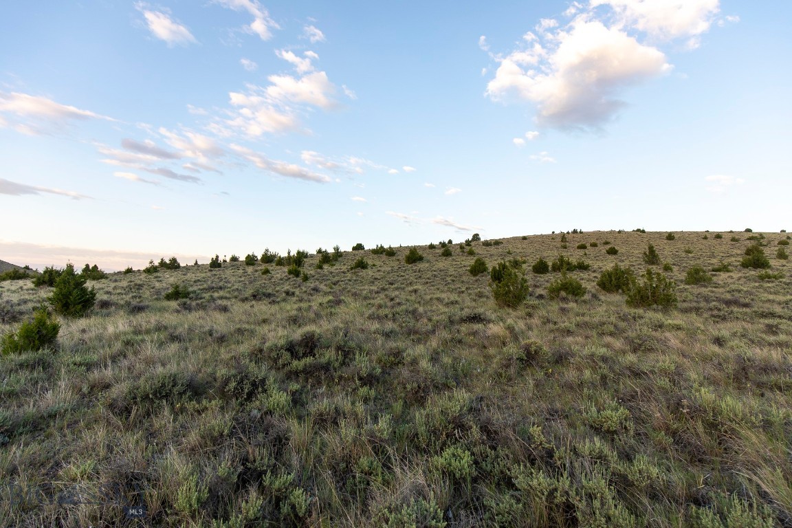 Gallatin River Ranch - Land