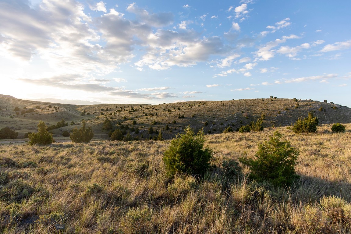 Gallatin River Ranch - Land