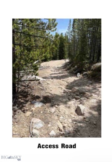23.75 Acres of Untouched Montana Beauty – Five Contiguous Parcels Sold Together

Escape to the beauty of Big Sky Country with this exceptional opportunity to own 23.75 acres across five contiguous parcels, creating a private mountain retreat surrounded by Montana's breathtaking landscape. Some  parcels border U.S. Forest Service land, offering direct access to space for hiking, hunting, wildlife viewing, and year-round outdoor adventure.

Covered with mature timber and natural vegetation, this property provides the perfect balance of privacy, recreation, and investment potential. Wake each morning to the sounds of songbirds, watch deer and elk wander through the trees, and enjoy the possibility of spotting moose, black bear, wild turkey, foxes, and countless other native wildlife that call this area home.

Whether you envision building your dream cabin, creating a family retreat, establishing a recreational basecamp, or simply investing in Montana land, these five adjoining parcels offer flexibility and room to bring your vision to life.

With towering pines, fresh mountain air, star-filled skies, and the serenity that only Montana can provide, this property is more than land, it's an opportunity to experience the lifestyle so many dream about. Spend your days exploring nearby public lands, enjoying the changing seasons, and creating lasting memories surrounded by the natural beauty of the Treasure State.

If you've been searching for a rare combination of acreage, privacy, wooded terrain, contiguous parcels, and Forest Service access, this remarkable property deserves your attention.