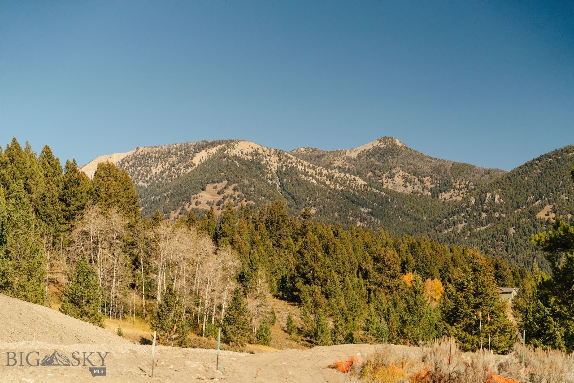 Upper Whitefish - Land