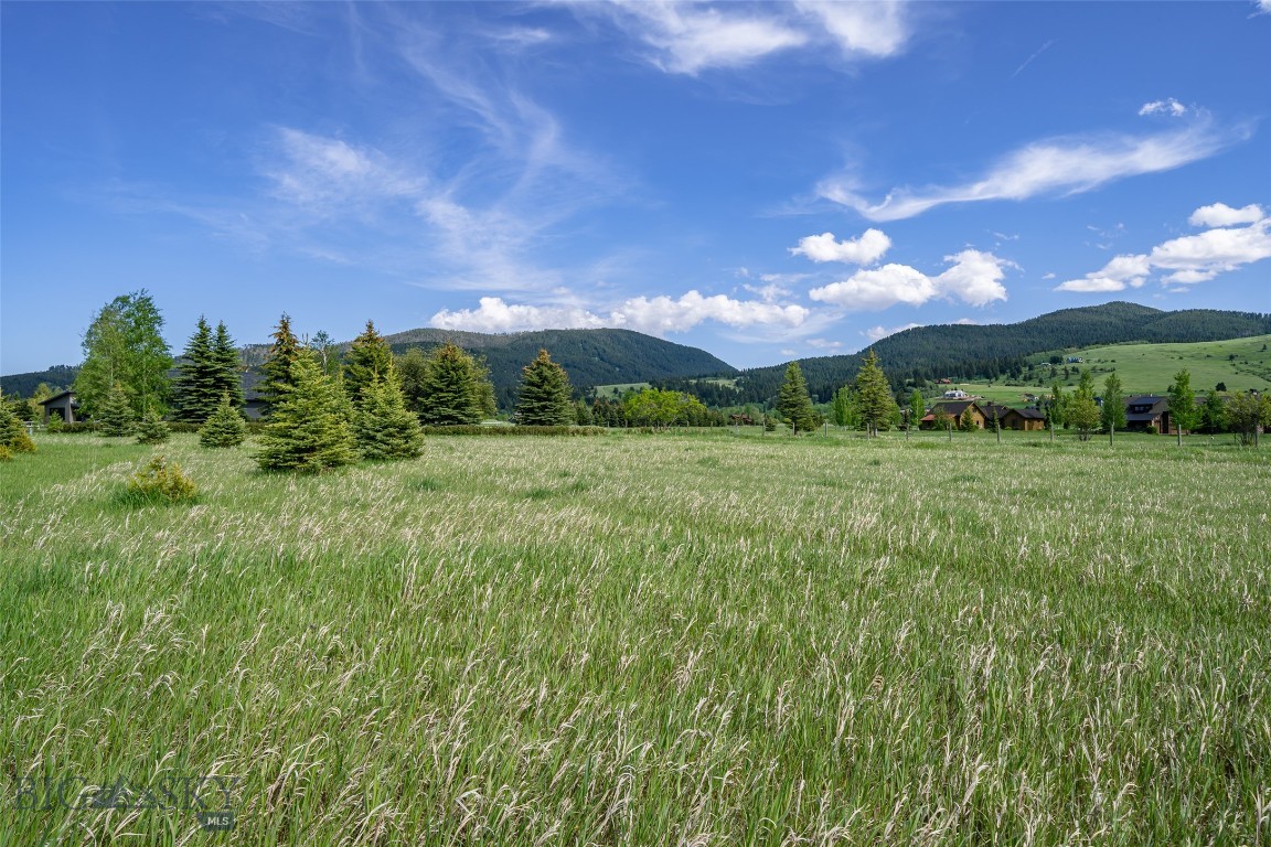Hyalite Foothills - Land