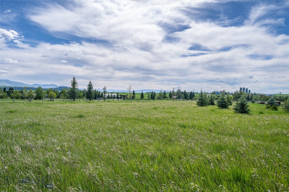 Hyalite Foothills - Land