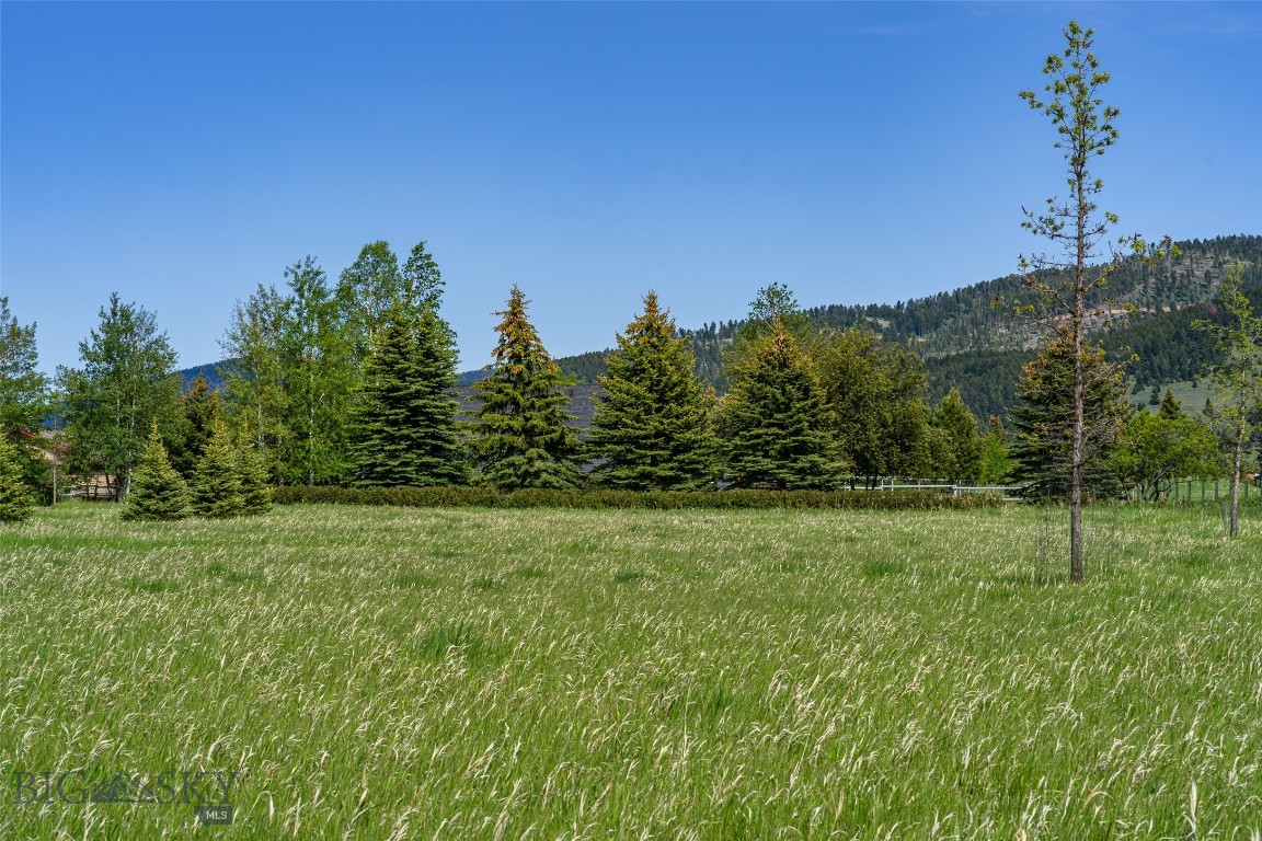 Hyalite Foothills - Land