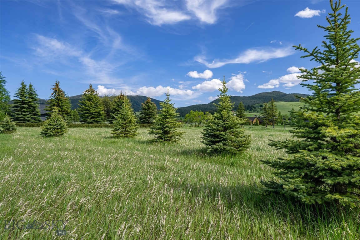 Hyalite Foothills - Land