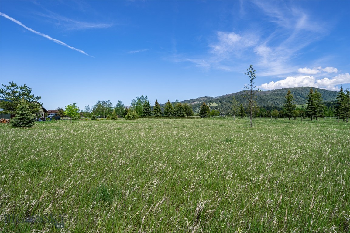 Hyalite Foothills - Land
