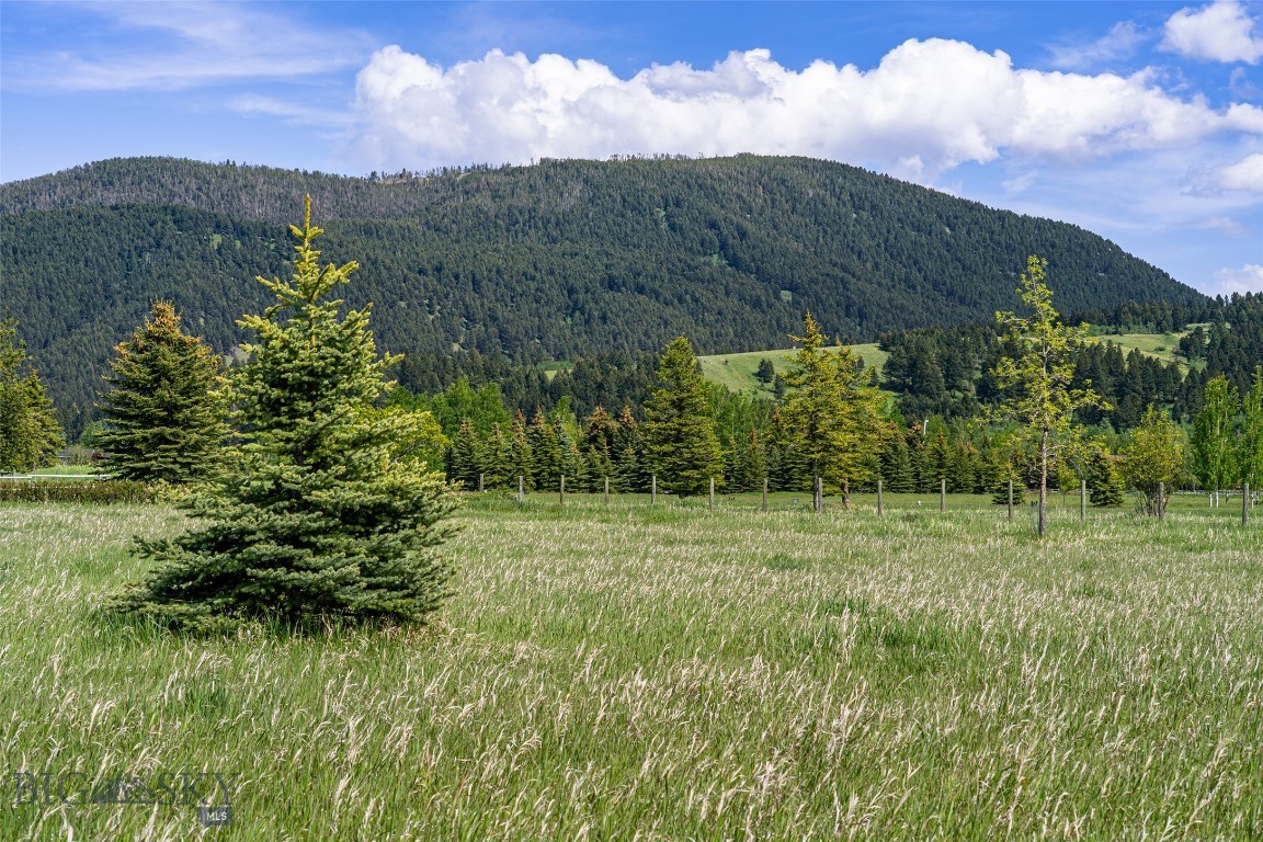 Hyalite Foothills - Land