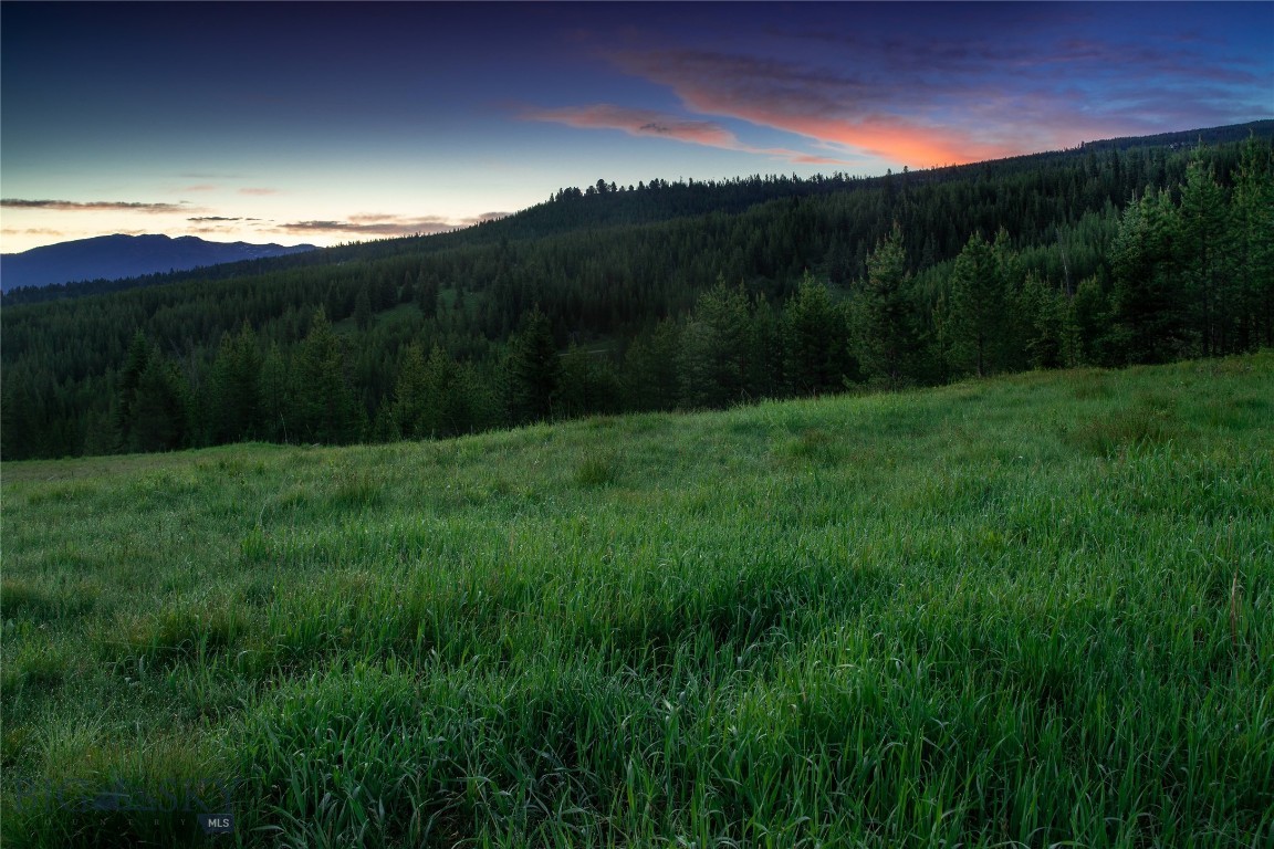 Bear Paw Ponds - Land