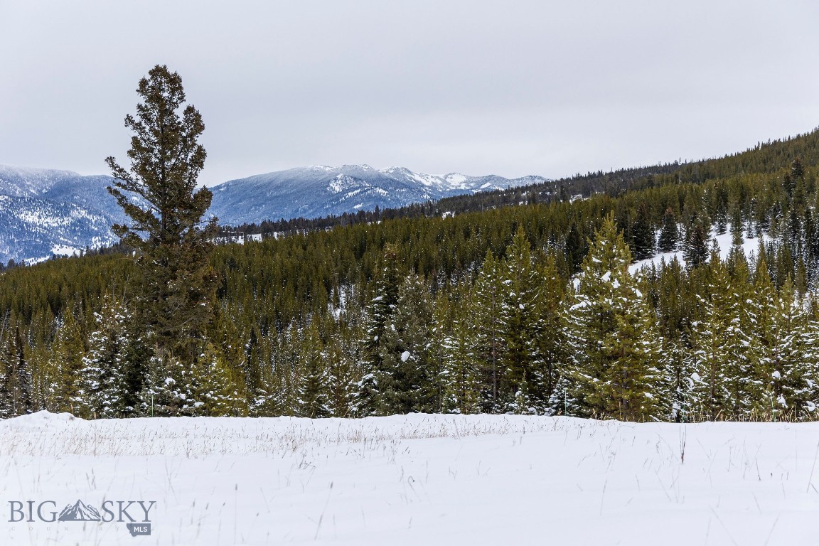Bear Paw Ponds - Land