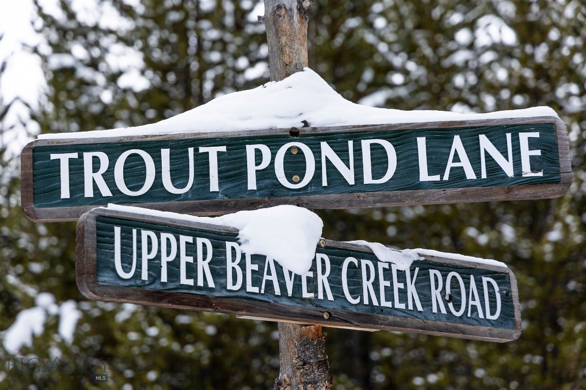 Bear Paw Ponds - Land