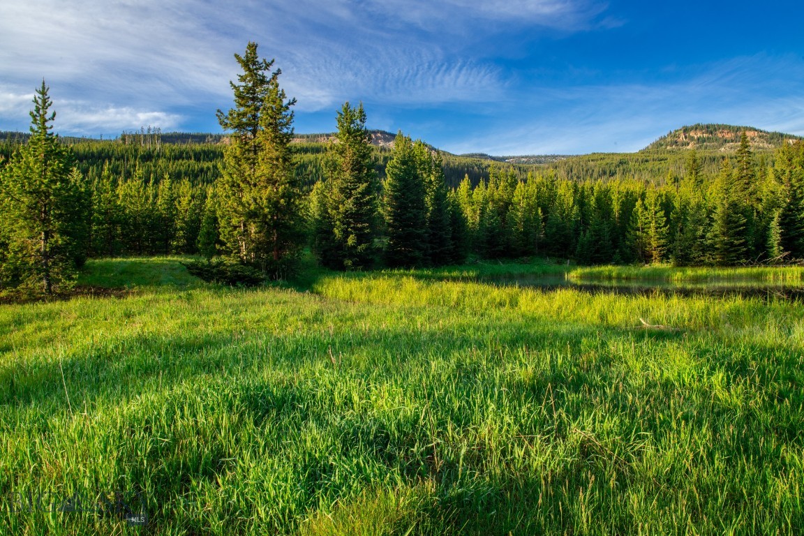 Bear Paw Ponds - Land
