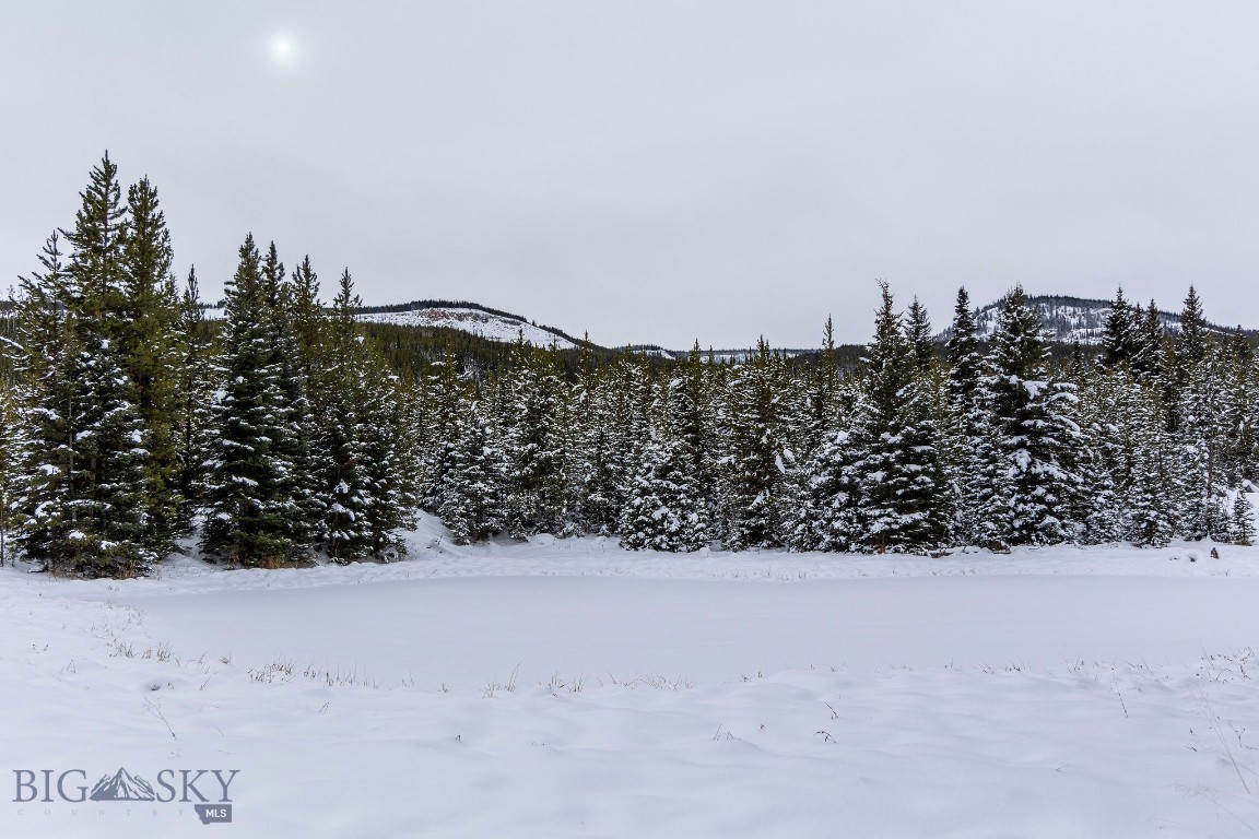 Bear Paw Ponds - Land