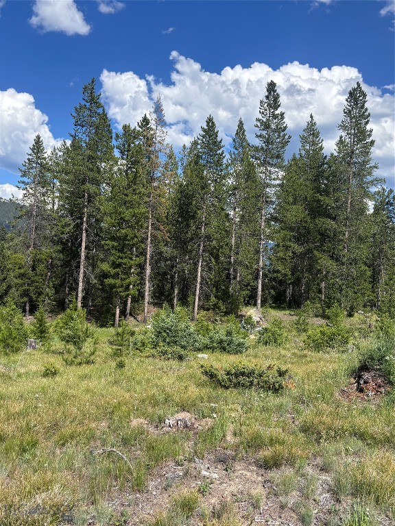 Antelope Ridge - Land