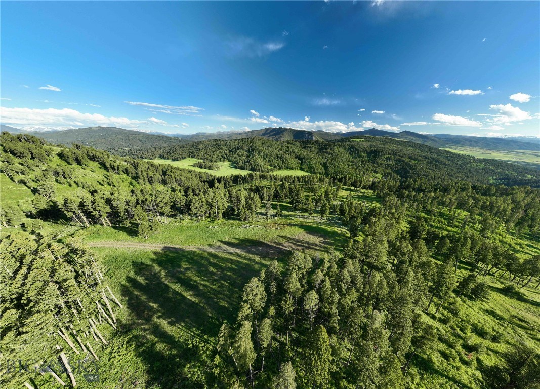 North Pass Ranches - Land