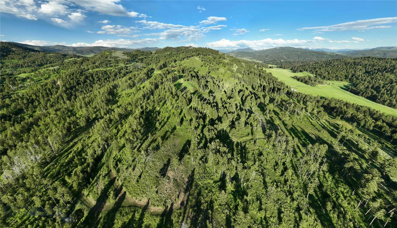 North Pass Ranches - Land