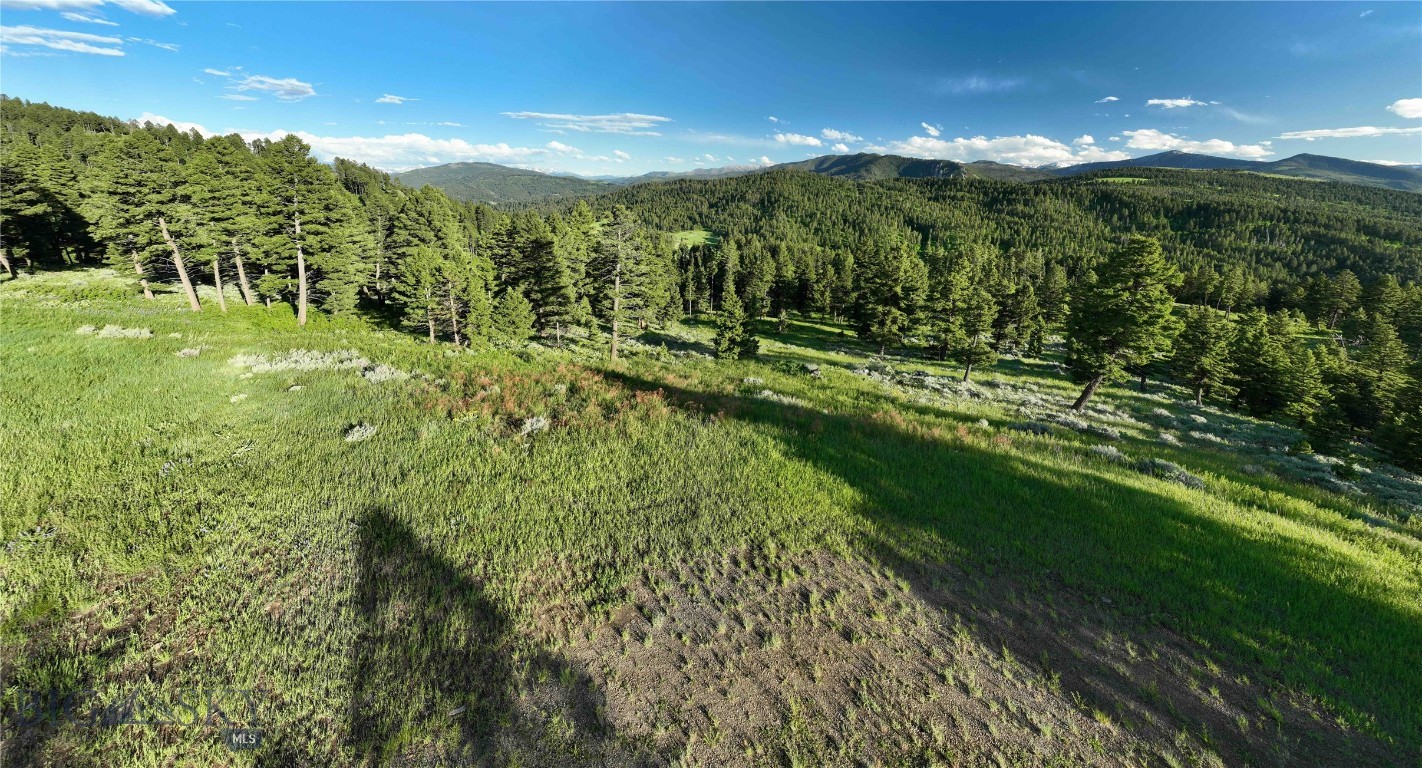 North Pass Ranches - Land