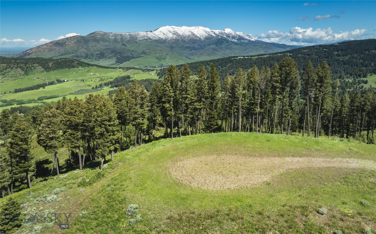 North Pass Ranches - Land