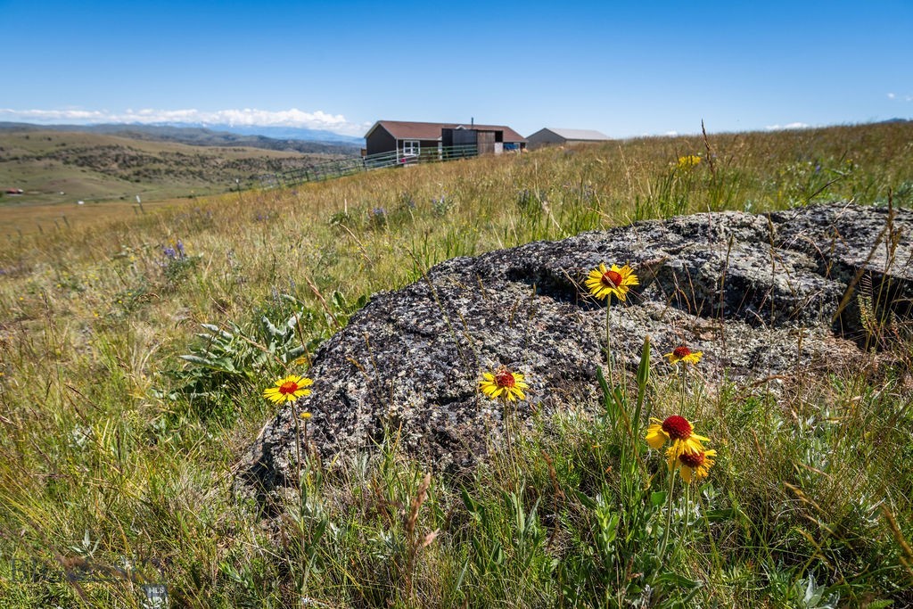 Yellowstone Basin Properties - Residential