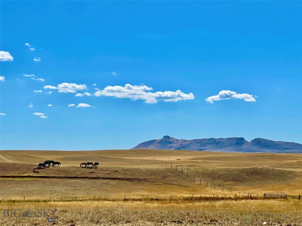 Traversed by County Road 440, this 160.42 acre tract captures the essence of the Hi-Line. Native grasses provide excellent grazing for livestock or horses, while the land itself invites a full spectrum of outdoor pursuits including horseback riding, hiking, biking, dirt biking, ATV riding, and year-round recreation. A newly developed well pumps an impressive 35 gallons per minute, supporting future home construction, livestock needs, or expanded improvements. A 32’ x 60’ pole barn/hay shed is already in place and offers exceptional versatility—easily convertible into a shop or a full-service barn. Posts are in place on the west side for stall buildout, and the east-side lean-to is ready for completion. With ample room to add an arena or even a boarding facility, the property is well-suited for equestrian or agricultural use. The southeast corner of the property transforms seasonally into a true bird sanctuary, collecting spring runoff that often holds water through summer and into fall. This natural wetland creates ideal nesting habitat and makes the property a haven for birdlife and upland game hunters alike. Wildlife is abundant, with opportunities to hunt antelope, deer, upland birds, and other game. Recreation extends beyond the property lines as well. Nearby Fresno Reservoir offers outstanding boating, fishing, camping, and water recreation, while the surrounding landscape provides endless opportunity for exploration and outdoor enjoyment. Additional features include a small gravel pit located on the north end of the property, adding practical value for roadwork or future improvements. Whether you envision building a home surrounded by open space, creating an equestrian setup, or securing a recreational retreat with exceptional views and proximity to town, this property offers freedom, scenery, and lifestyle.