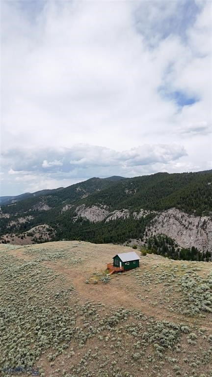 Ponderosa Pines - Residential