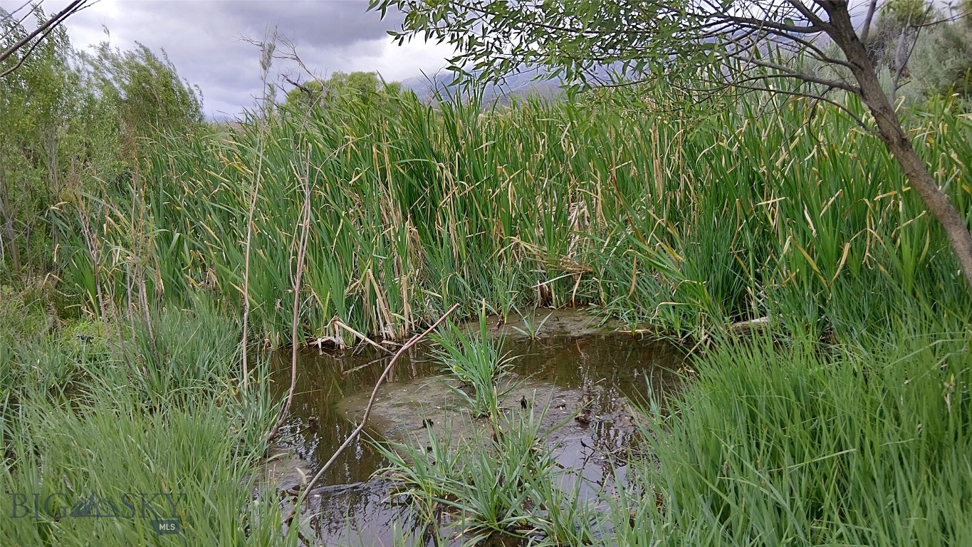 Other - Land