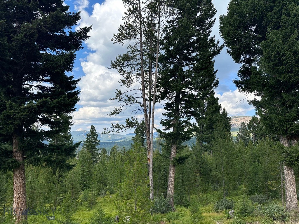 Other - Land