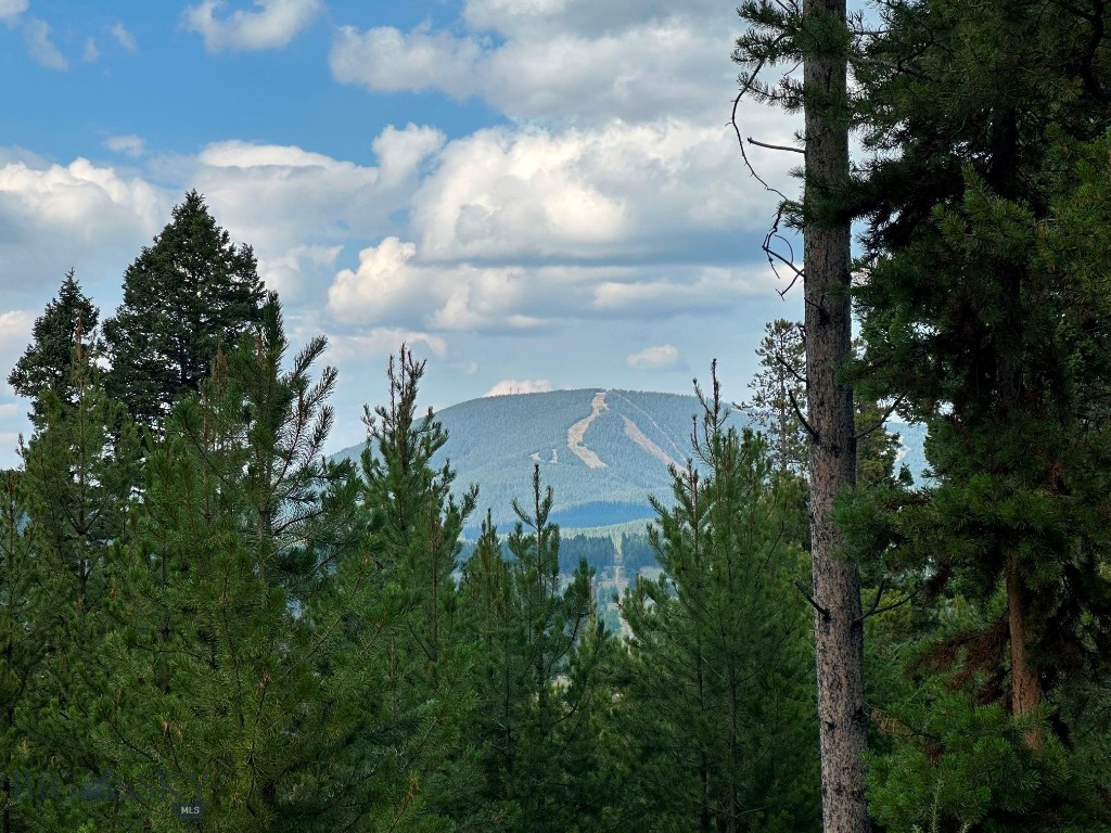 2+ acre lot in Elk Meadows subdivision on dead end street with great Discovery Ski area views. The Georgetown Lake area continues to be the premiere 4 season recreation community in southwest Montana. Plan your ski day and beat the crowd while getting real time weather updates out your front window! Head down the hill to Georgetown Lake for some boating and floating with friends. Nearby forest service access points provide miles of  motorized and non motorized recreation opportunities. Feeling brave? Don't miss your chance to test your downhill biking skills at the popular Discovery bike park. Want to take it easy? Spend the day in Anaconda at one of multiple golf courses and take a dip in Fairmont Hot Springs Resort. Feel like sticking close to home? Try out some of Georgetown's popular dining options for a burger or salad bar, just down the hill. This wonderful community has a little something for everyone. Check it out today!