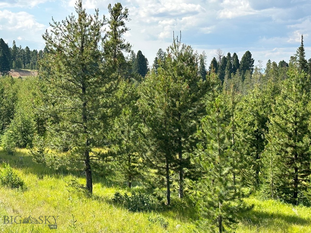 Other - Land