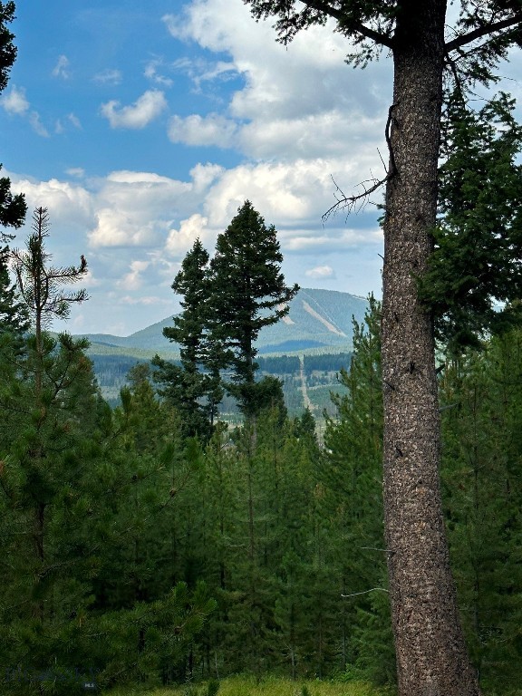 Other - Land