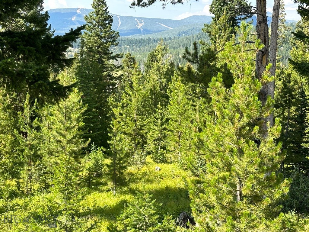 Other - Land
