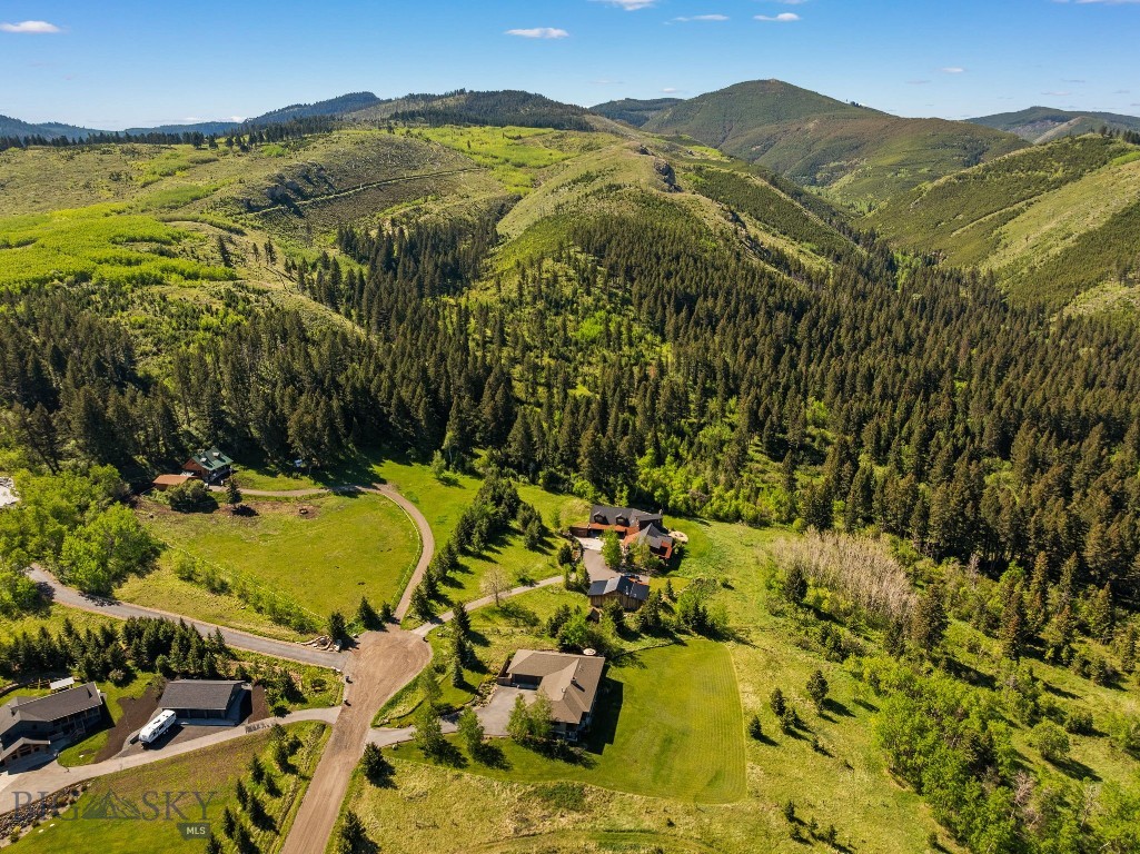 Little Bear - Residential