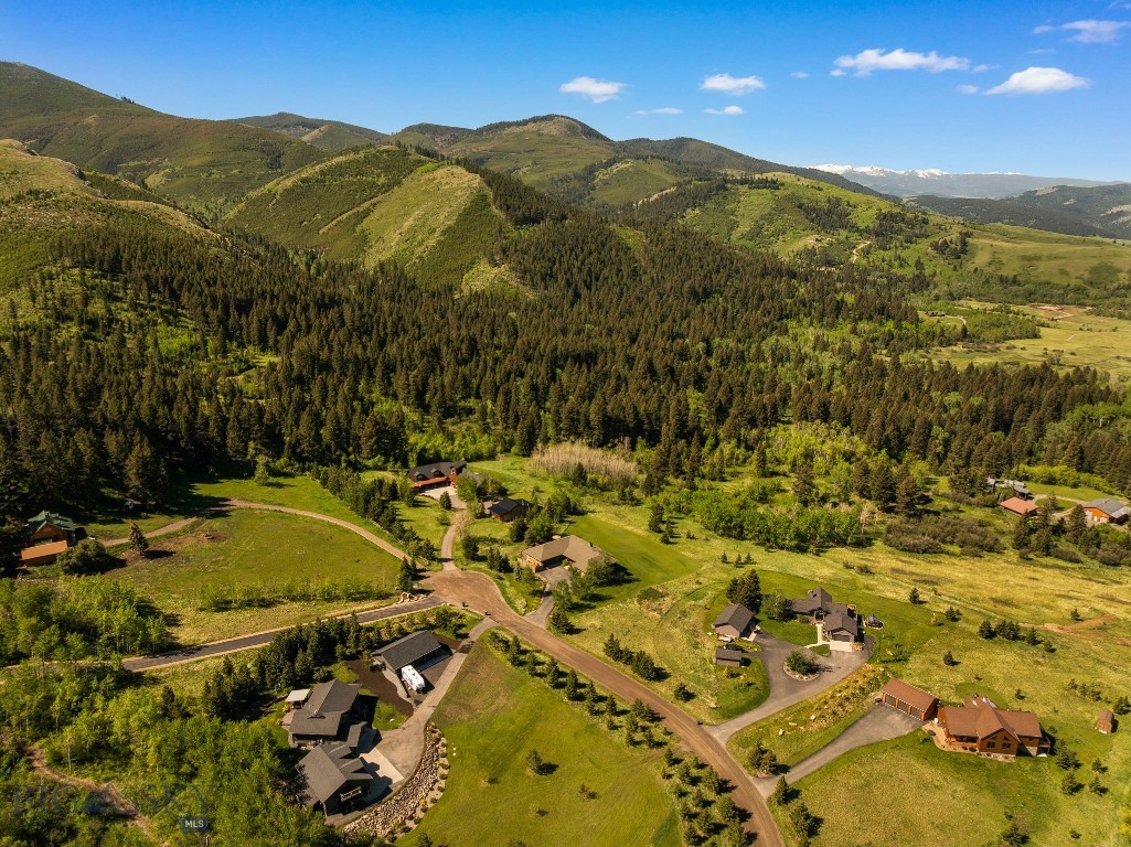 Little Bear - Residential