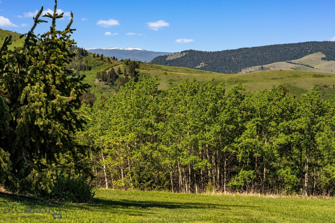 Little Bear - Residential