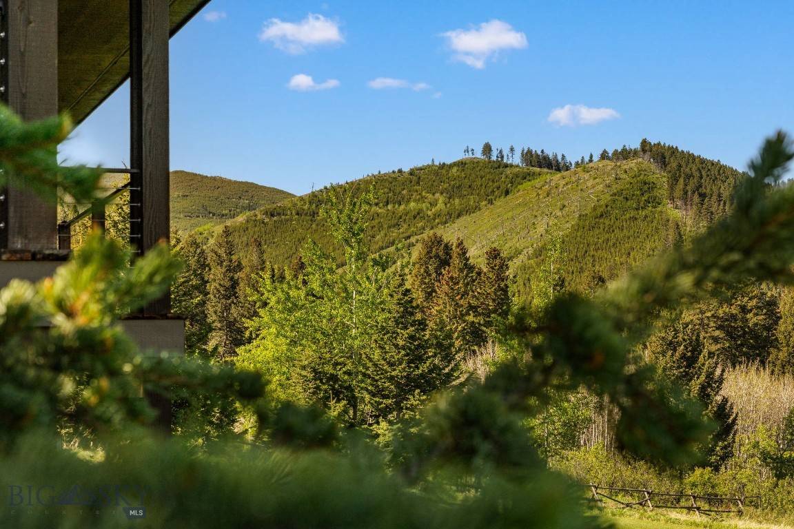 Little Bear - Residential