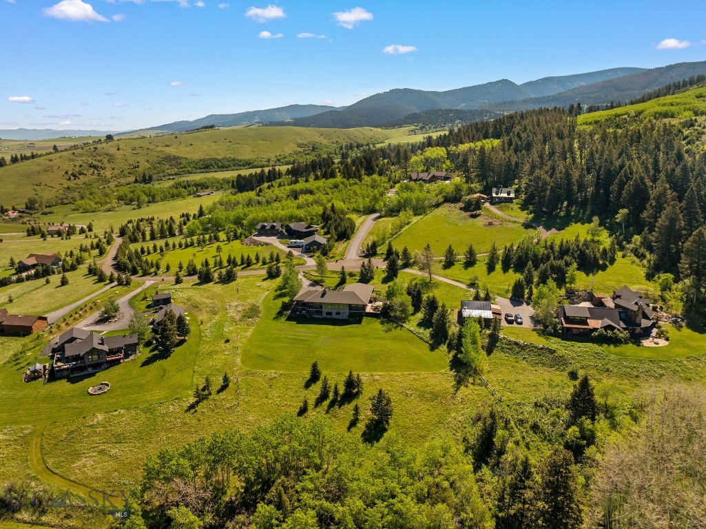 Little Bear - Residential
