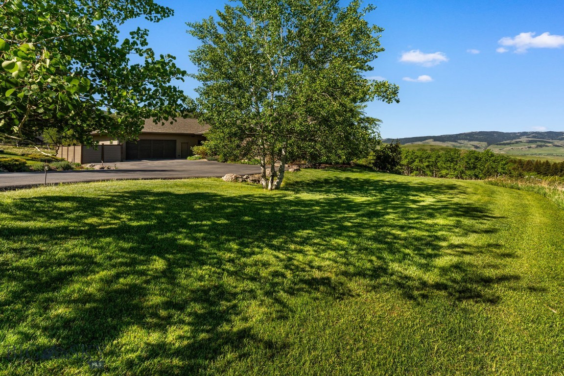 Little Bear - Residential